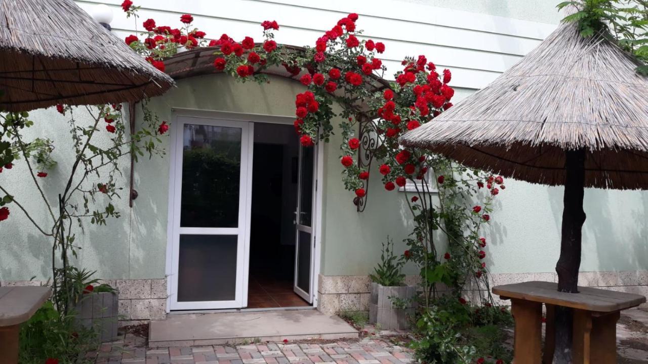 Casa Verona 科斯蒂内什蒂 外观 照片